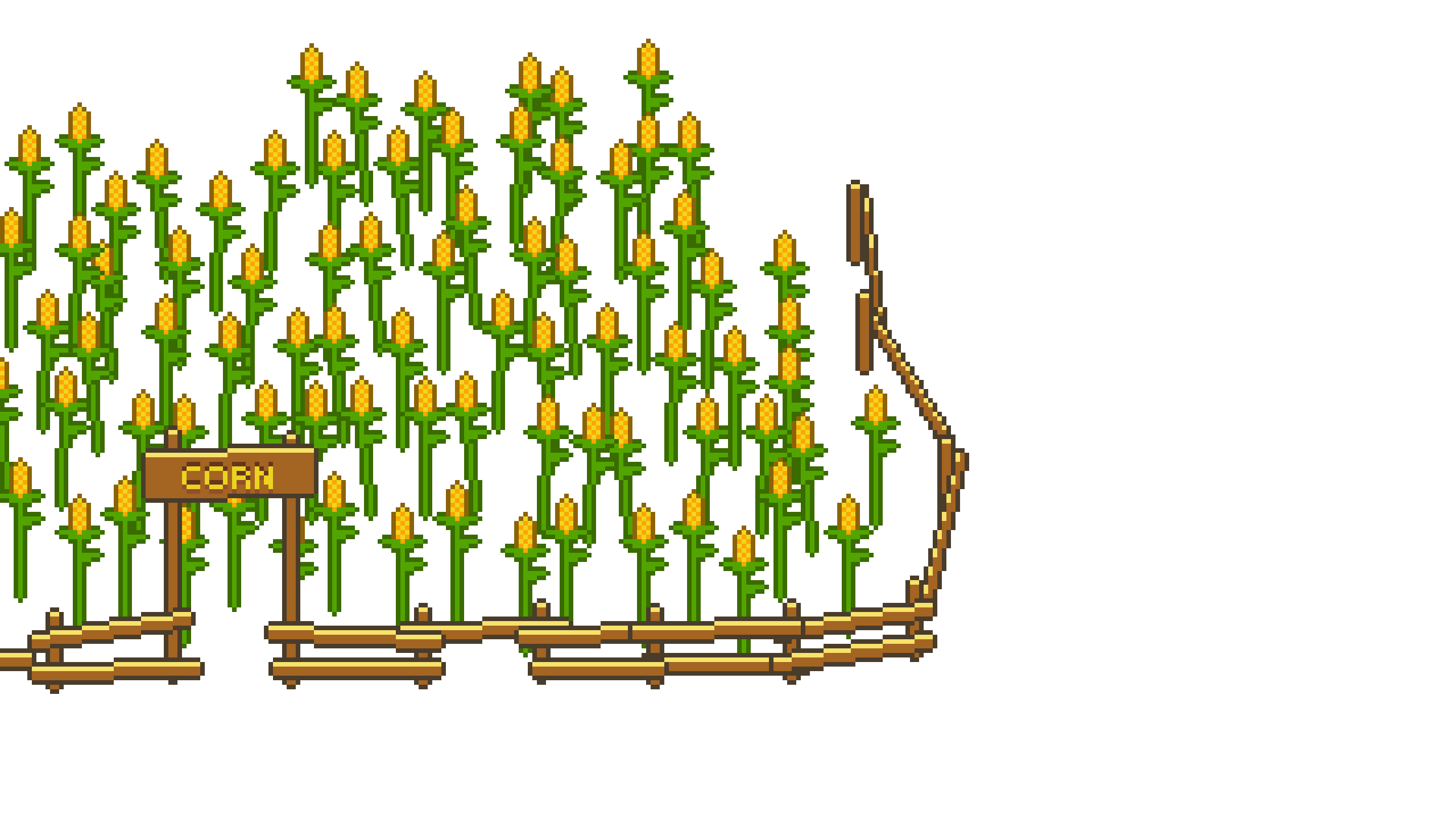 Corn Field